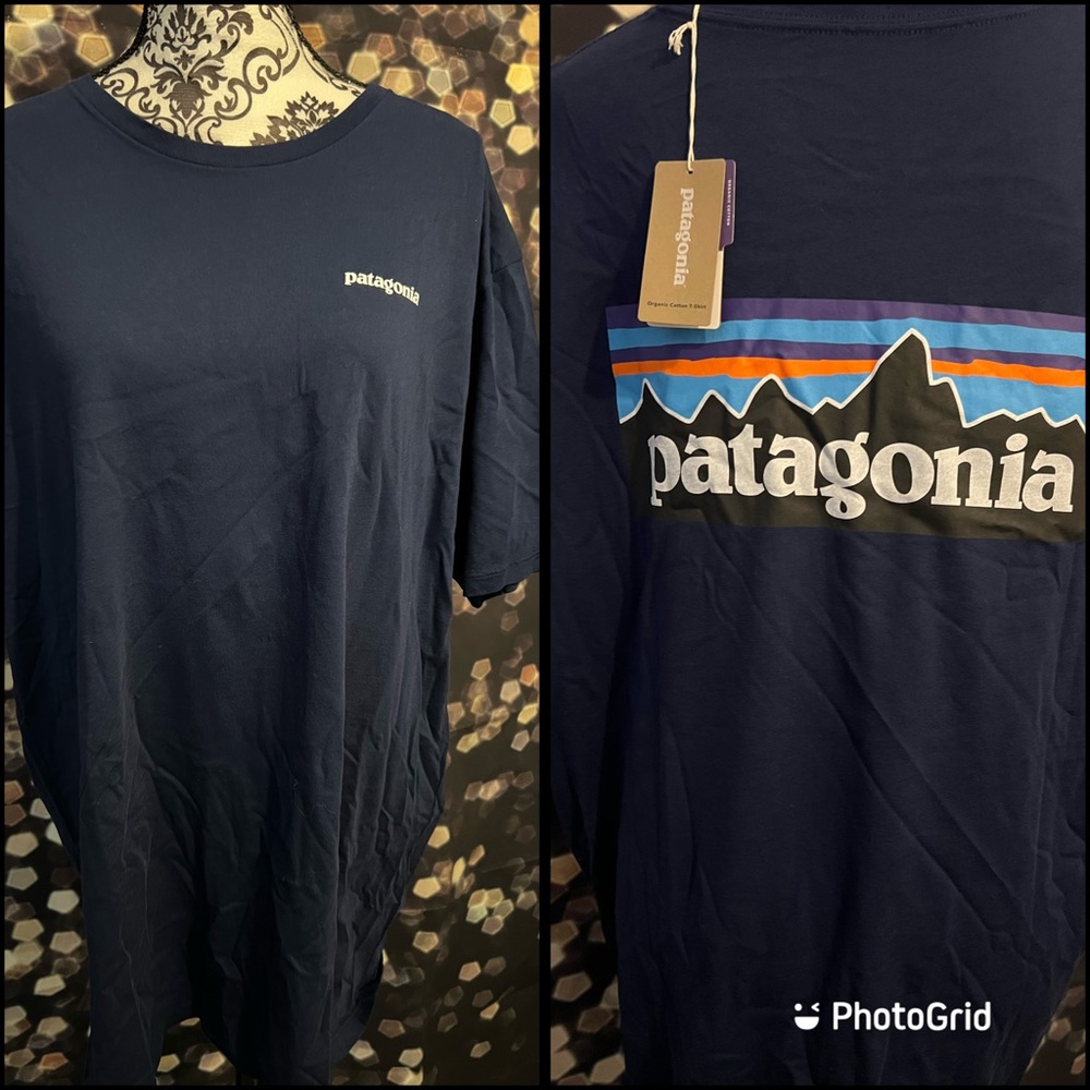 Patagonia t-shirt